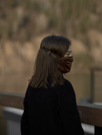 brown silk face mask
